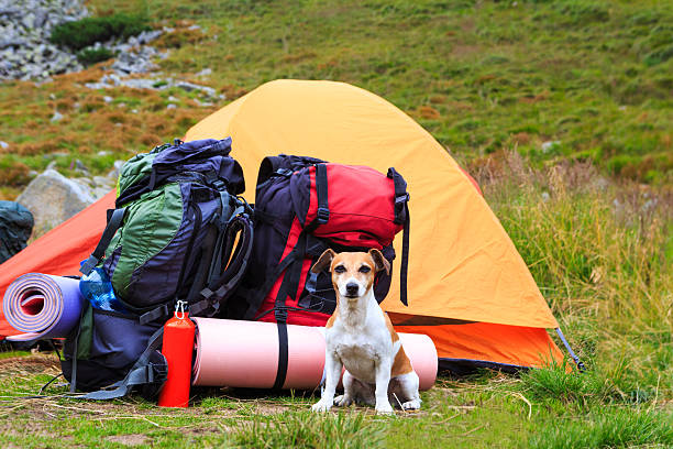 Hiking Gear